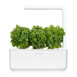 Dwarf Basil 3-Pack plants pods for Smart Garden