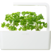 Persil 3-Pack recharge pour Smart Garden