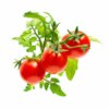 Mini Tomate recharge 3-Pack pour Smart Garden