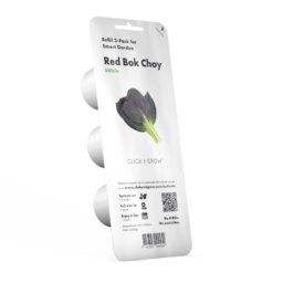 Chou Pak Choi rouge 3-Pack plantes pods pour Smart Garden