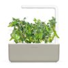 Dwarf Pea 3-Pack plantes pods for Smart Garden