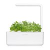 Garden Cress 3-Pack plants pods for Smart Garden