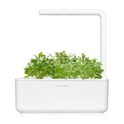 Garden Cress 3-Pack plants pods for Smart Garden
