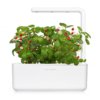 Wilde Aardbeien 3-pack plant pods voor Smart Garden
