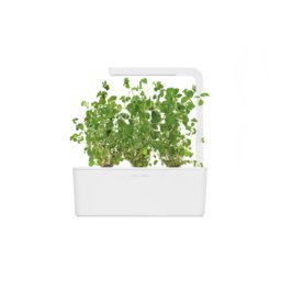 Marjoram 3-Pack plants pods for Smart Garden